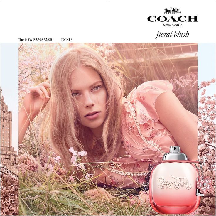 New York - Coach - EDP - 3.0 oz(90ml)